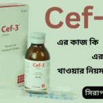 Cef-3 এর কাজ কি: বিস্তারিত জানুন এবং ব্যবহারের নিয়ম